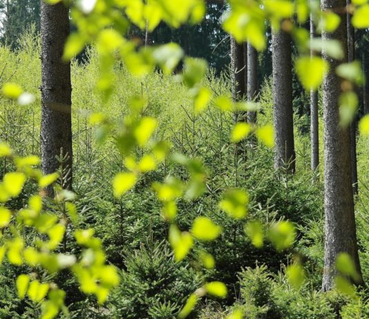 natječaj za modernizaciju strojeva