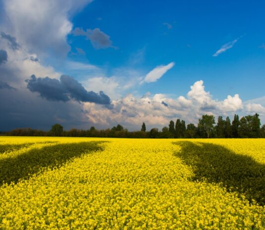 podnošenje jedinstvenog zahtjeva