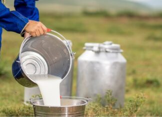 Povećana proizvodnja mlijeka na obiteljskim poljoprivrednim gospodarstvima u 2024. godini