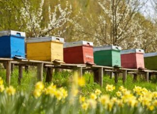 Pravilnik o držanju pčela i katastru pčelinje paše