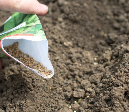 Pojašnjenja Prijedloga zakona o sjemenu, sadnom materijalu i priznavanju sorti poljoprivrednog bilja Pojašnjenja Prijedloga zakona o sjemenu