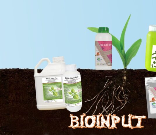 Ojačivači i biostimulatori u funkciji zaštite protiv nametnika u ekološkoj proizvodnji