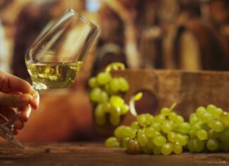 Zamućenja u vinu uzrokovana bjelančevinama