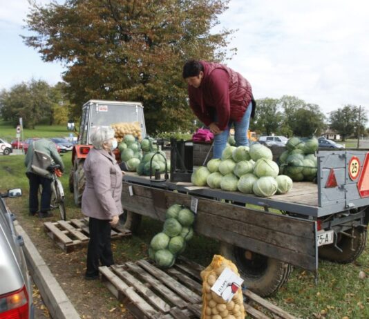 Obitelj Blažeković ne odustaje od zelja: "Problem su nakupci koji varaju na vagi"