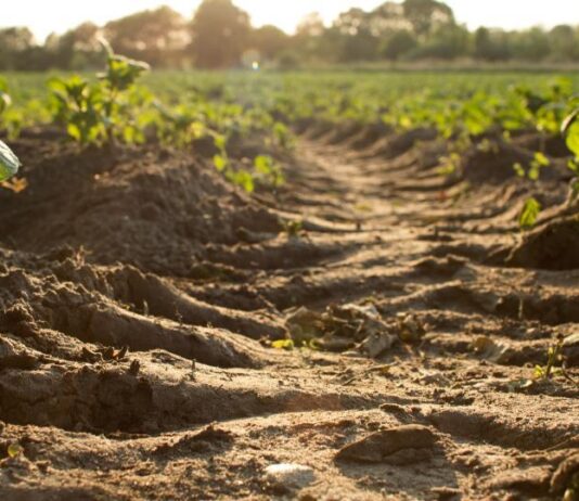 Agroturizam – budućnost i prilika