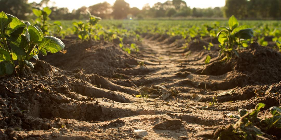 Agroturizam – budućnost i prilika
