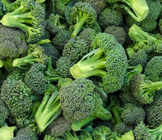 Veliki potencijal za proizvodnju brokule u Hrvatskoj