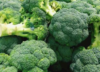 Brokula - hranjiva i ljekovita