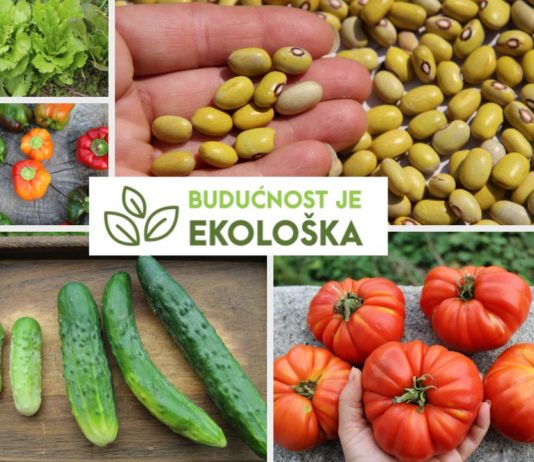 Kako sačuvati tradicijske sorte i pokrenuti proizvodnju sjemenja? biovrt u skladu s prirodom tradicijske sorte