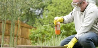 Gdje i kada se može pristupiti o održivoj uporabi pesticida?