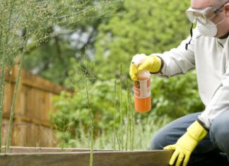 Gdje i kada se može pristupiti o održivoj uporabi pesticida?