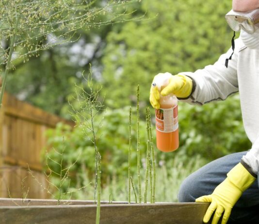 Gdje i kada se može pristupiti o održivoj uporabi pesticida? Gdje i kada se može pristupiti o održivoj uporabi pesticida?
