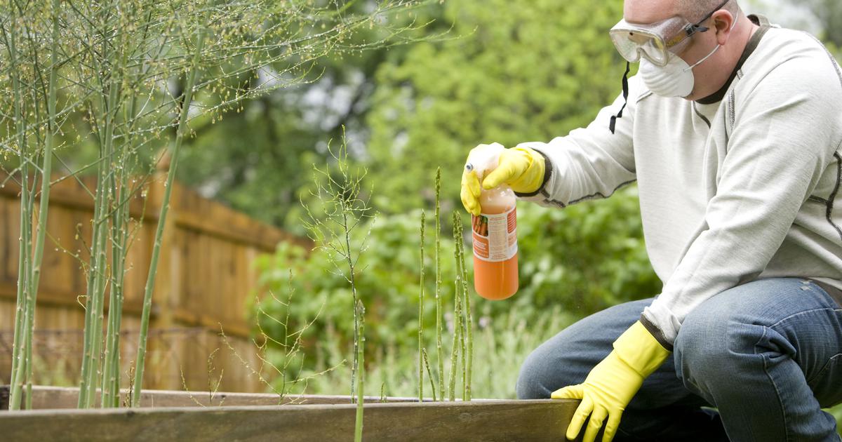 Gdje i kada se može pristupiti o održivoj uporabi pesticida?