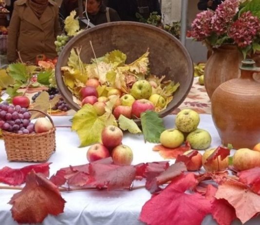 sačuvajmo stare sorte dani cerničkog portugisca
