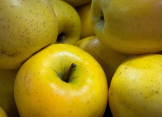 Charden - hrvatska jabuka godine