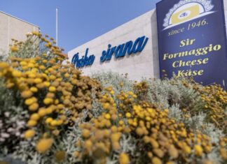 Paška sirana – jedan od dva hrvatska finalista ARIA 2025 nagrada!