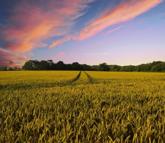 Produljen rok za podnošenje zahtjeva za potporu za tip operacije 4.4.1 – Neproduktivna ulaganja povezana s očuvanjem okoliša