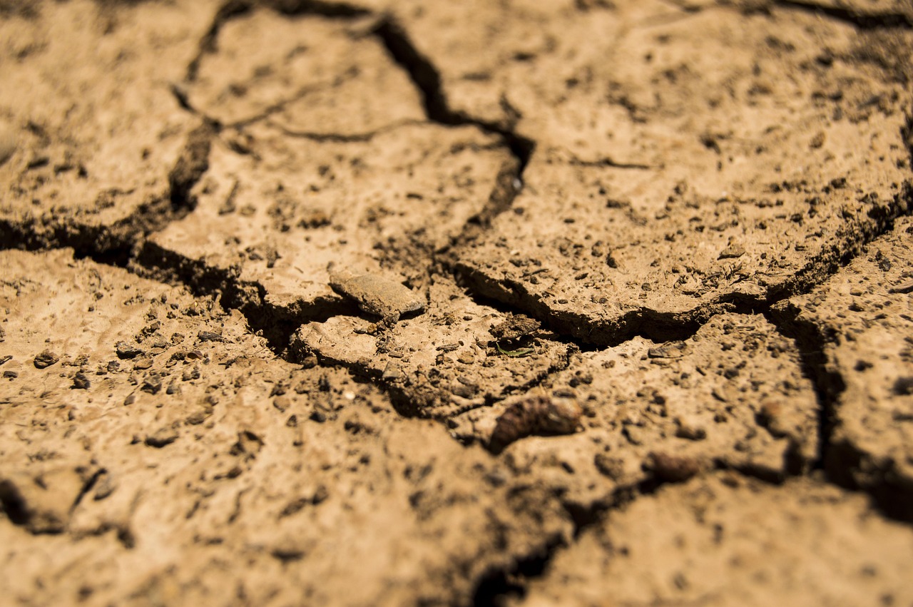 daeron-drought-780088_1280