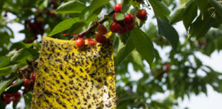 Obavijest korisnicima IAKS mjera ruralnog razvoja