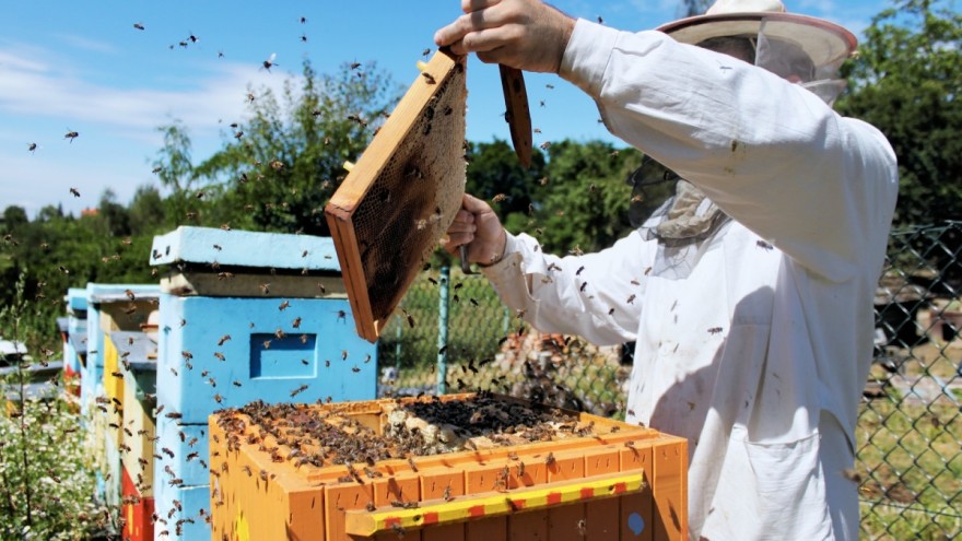 Moderno pčelarstvo