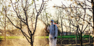 potrošnja kemijskih pesticida i insekticida u voćnjaku