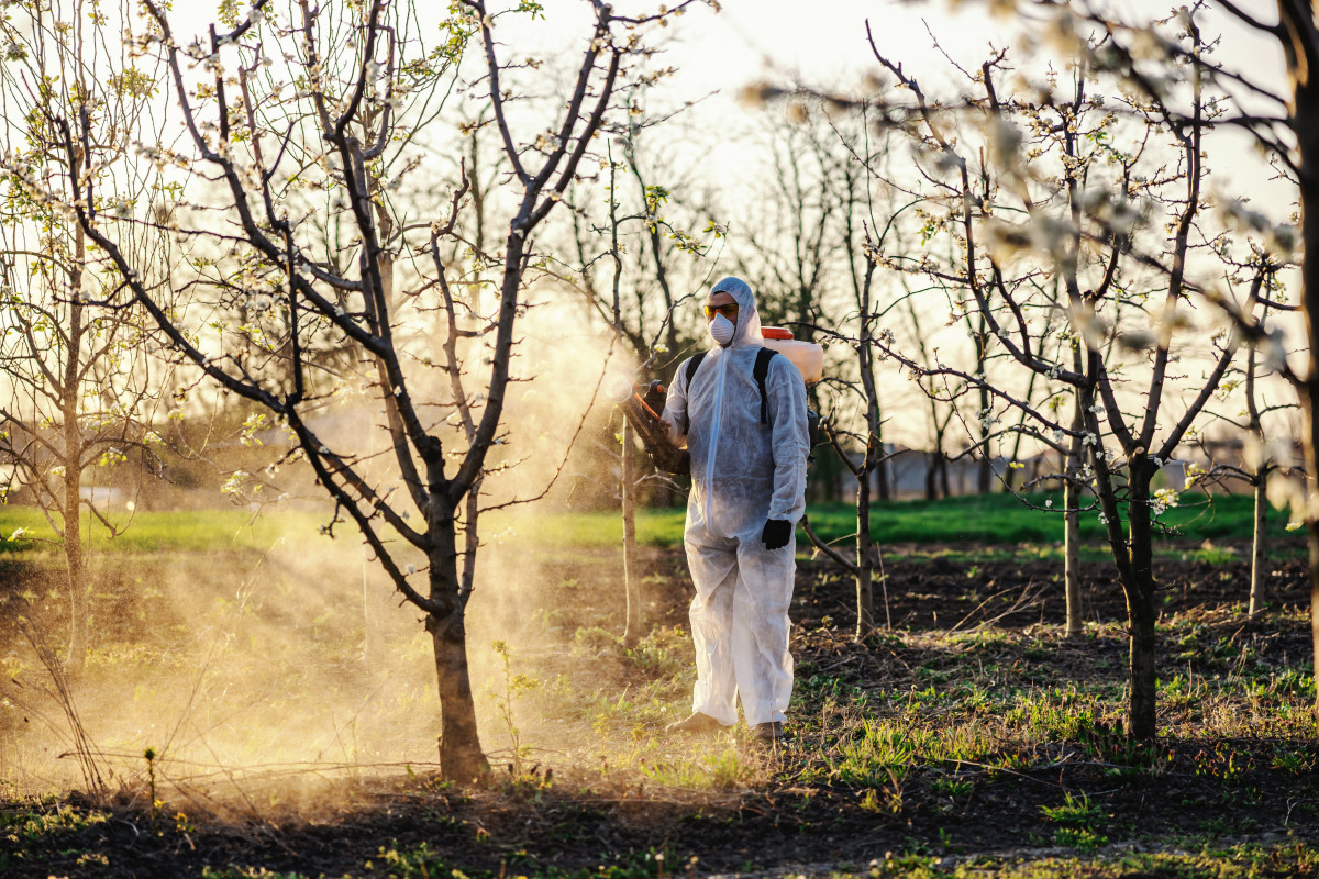 potrošnja kemijskih pesticida i insekticida u voćnjaku