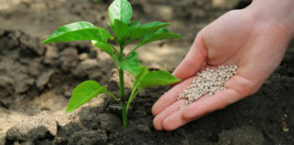 upotreba mineralnih gnojiva mineralna gnojiva