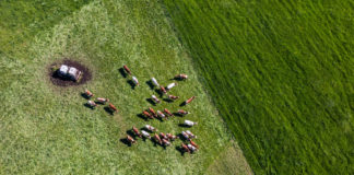 korištenje satelitskih fotografija u poljoprivredi