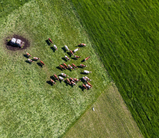 korištenje satelitskih fotografija u poljoprivredi