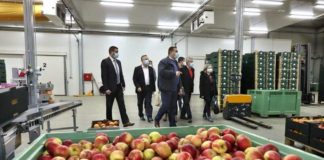 ulaganja u distribucijske centre za voće i povrće