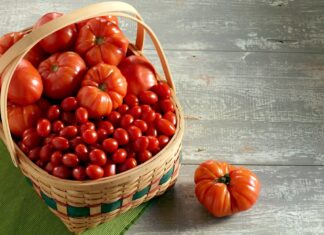 Nema ništa ljepše od ljubavi … i domaćih rajčica