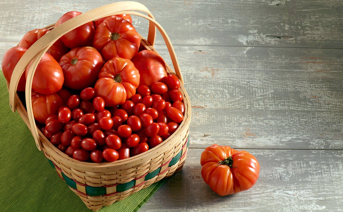 Nema ništa ljepše od ljubavi … i domaćih rajčica