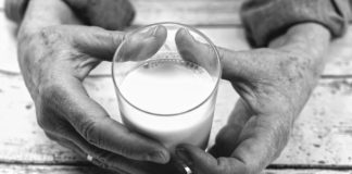 trend proizvodnje mlijeka proizvodnja mlijeka