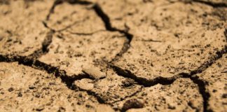 prirodne nepogode od suše štete od suše