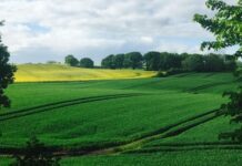 Otvoren program potpore za poljoprivrednike pogođene nepogodama u 2024.