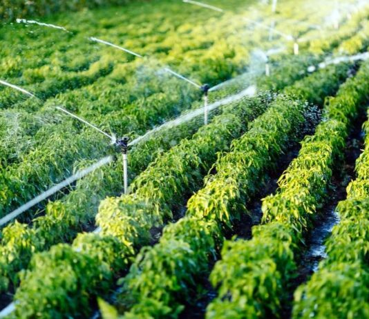 Ulaganje u sustave za navodnjavanje