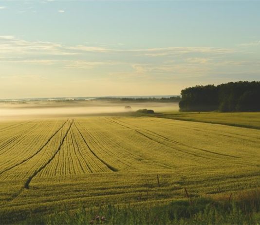 Zakon o poljoprivrednom zemljištu je loš! zakon o poljoprivrednom zemljištu