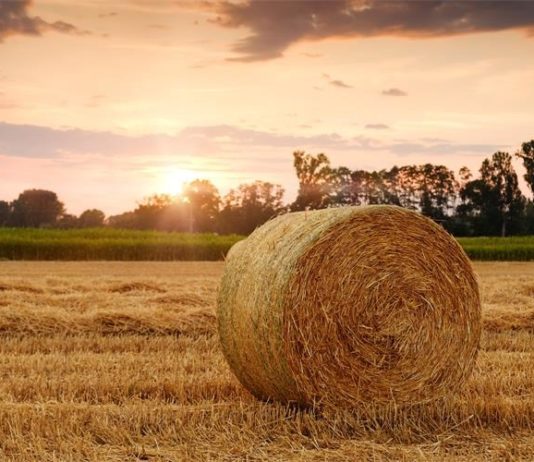 plan obajve natječaja za 2024