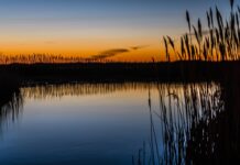 EU razmatra smanjenje zaštite voda i močvarnih staništa