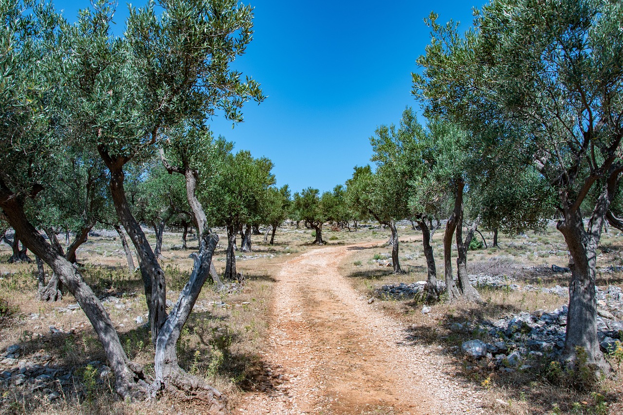 geertwillemarck-croatia-4684362_1280