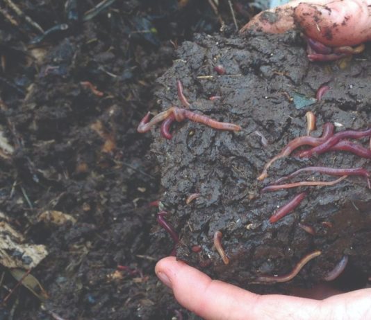 glistal glistinac drozdek lumbrihumus