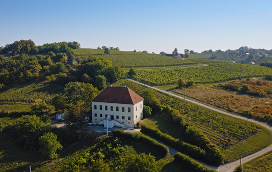 Via VINO – Vinogradi u okolici Zagreba postaju bajkovita pozadina za film, glazbu i umjetnost via vino vinski putevi zagrebačke županije
