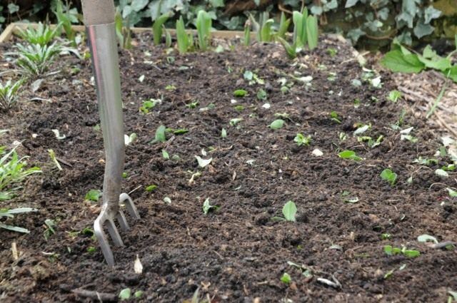 gnojidba vrta kako gnojiti u vrtu alkalno tlo
