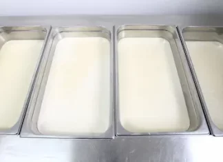kvasci i plijesni u sirarstvu