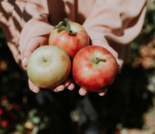 dani domaće jabuke enna fruit
