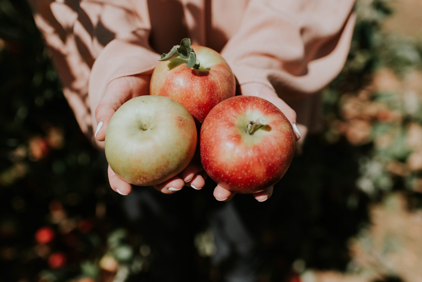 dani domaće jabuke enna fruit
