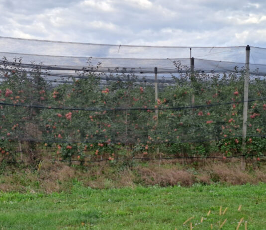 zaštita jabuke i trešnje andermatt bioinput