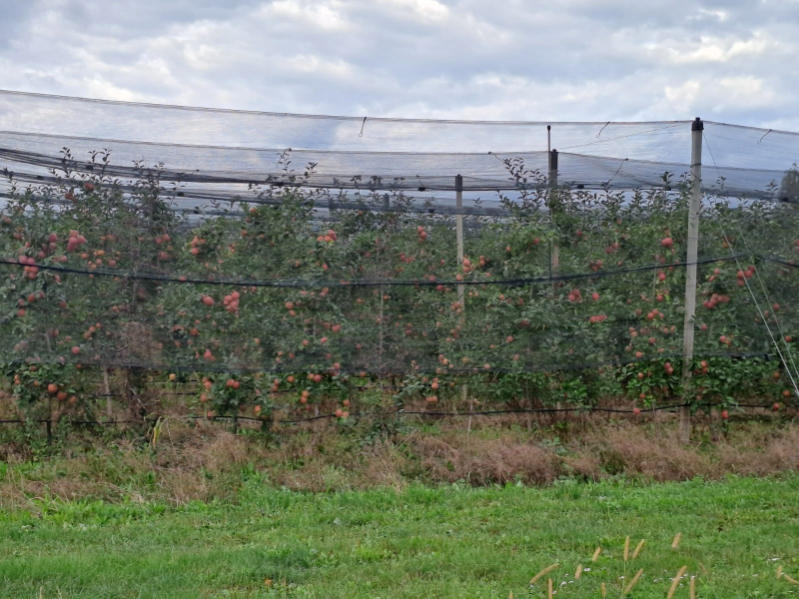 zaštita jabuke i trešnje andermatt bioinput