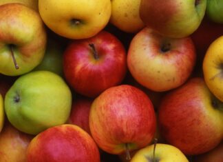 Nove vrlo kvalitetne sorte jabuka