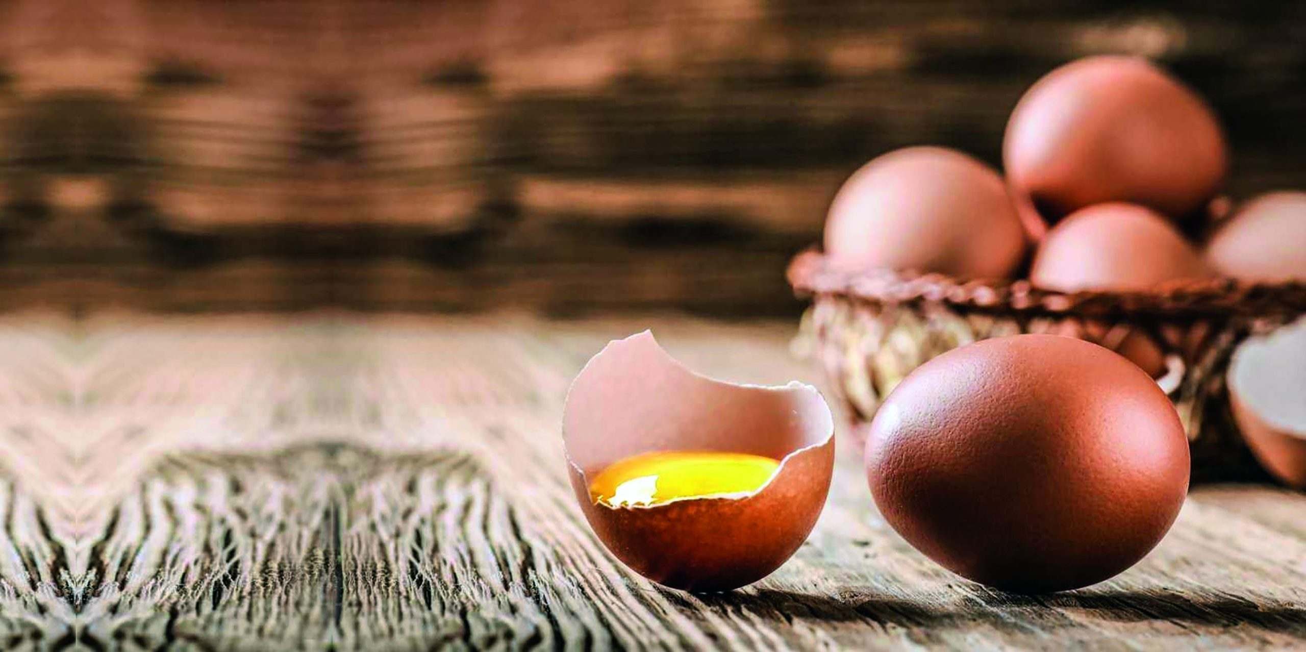 boja ljuske jaja kokošja jaja zablude o kokošjim jajima